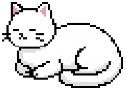 Shiro the white cat